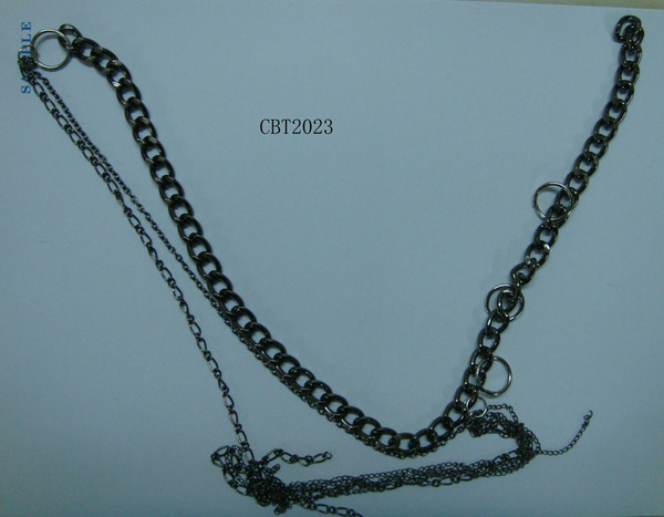 CBT2023