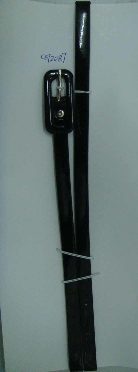 CBT2087