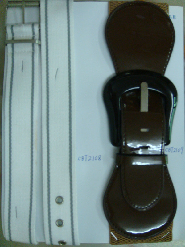CBT2108