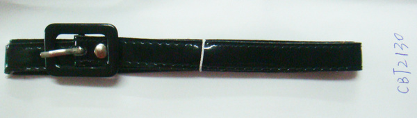 CBT2130