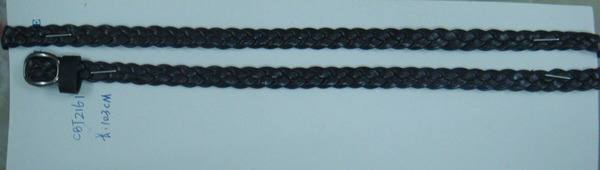 CBT2161