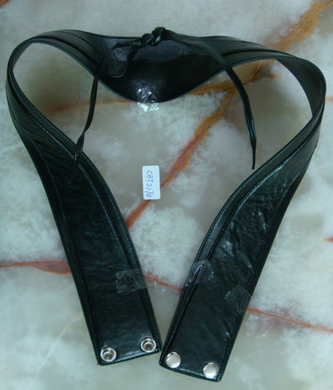 CBT2170