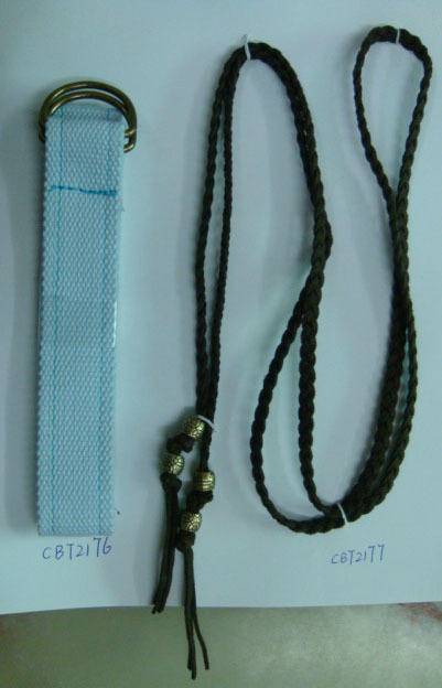 CBT2176-2177
