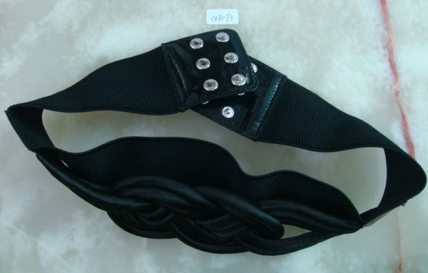 CBT2193