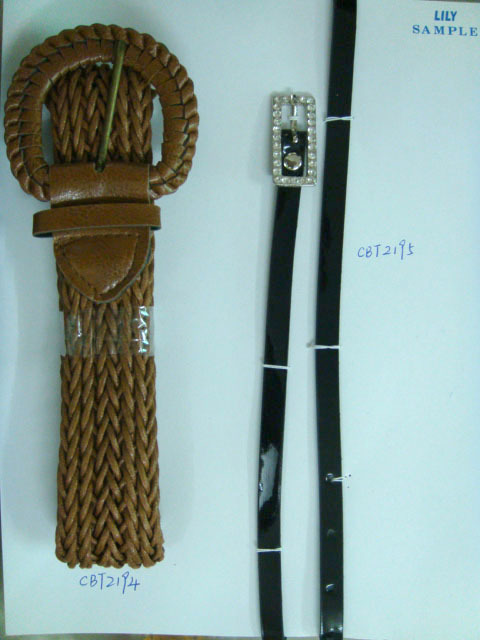 CBT2194-2195