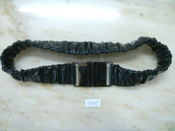 CBT2209