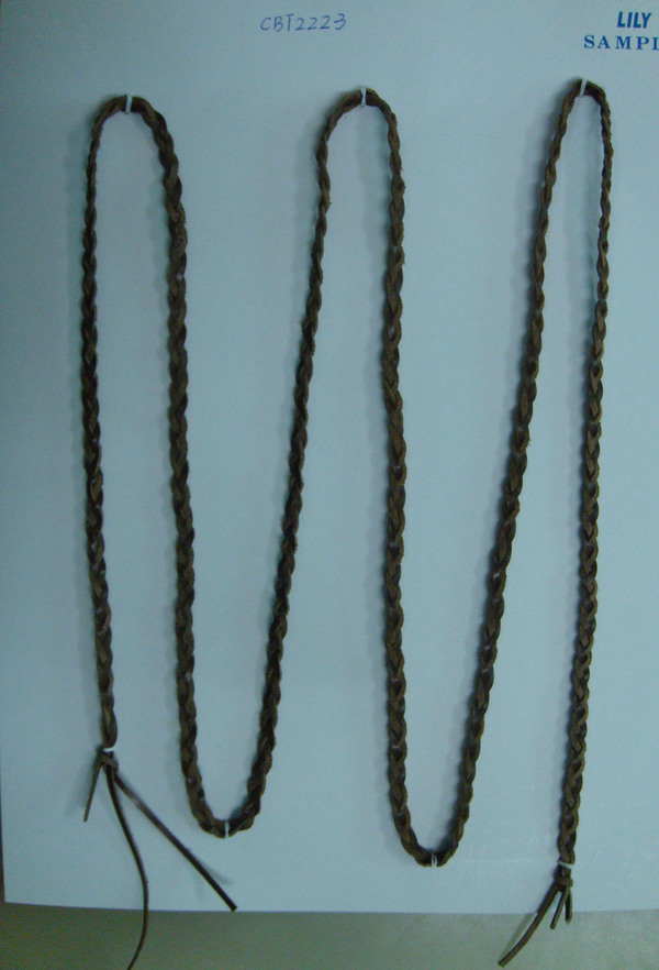 CBT2223