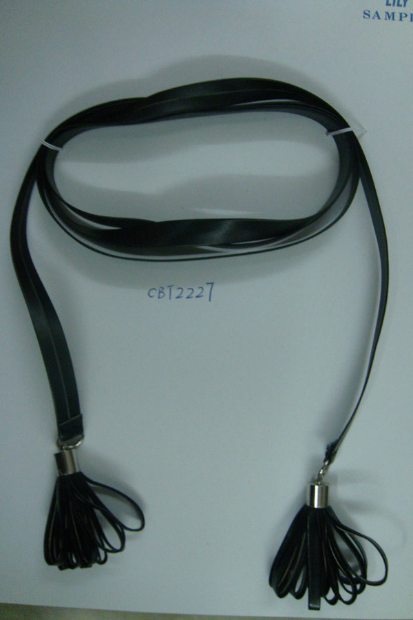 CBT2227