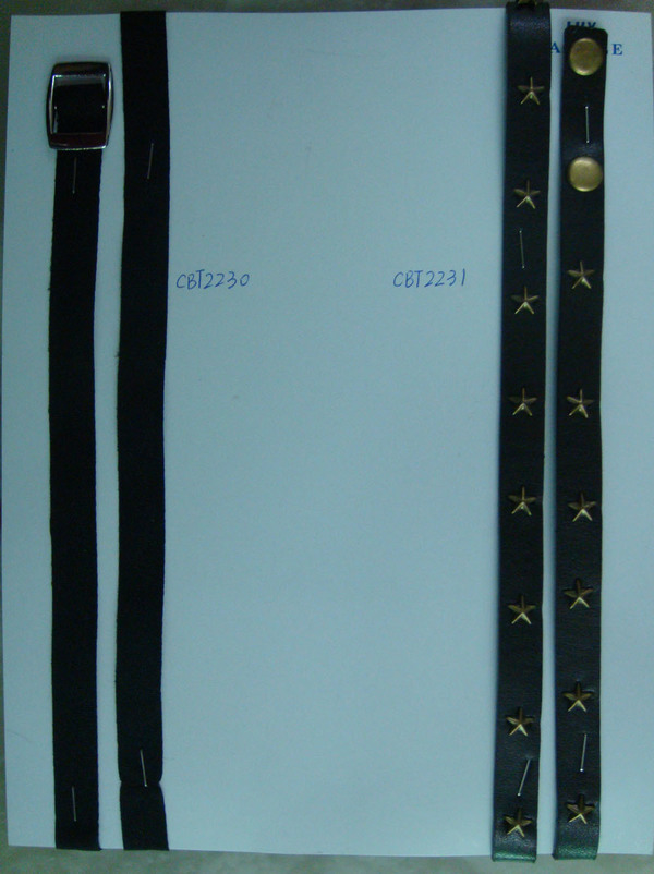 CBT2230-2231