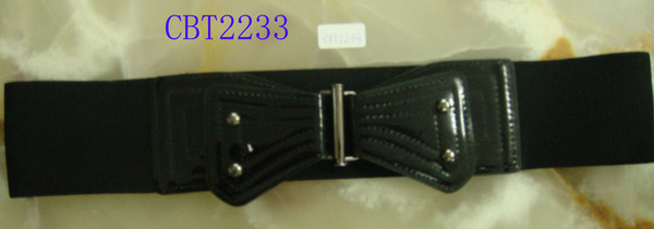 CBT2233