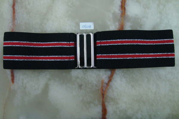 CBT2238