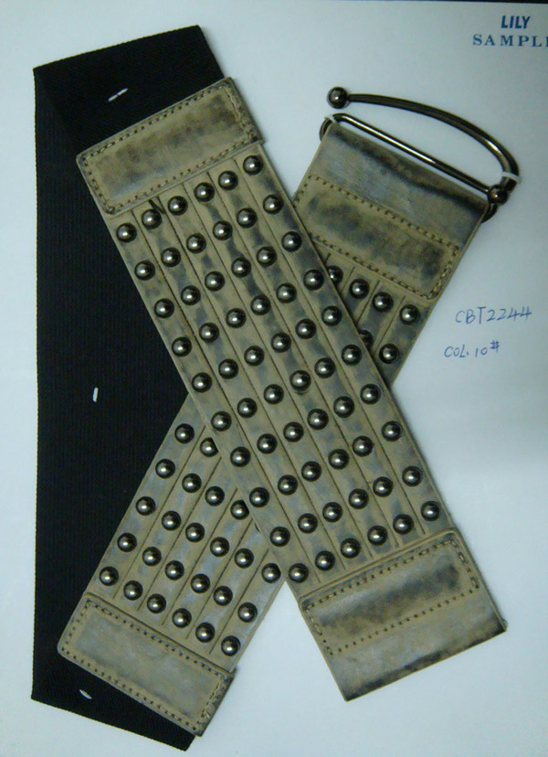 CBT2244