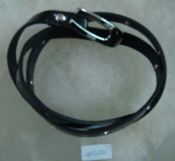 CBT2251