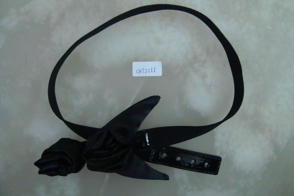 CBT2255