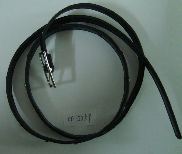 CBT2259