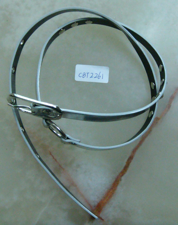 CBT2261