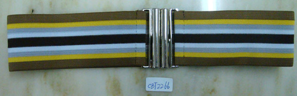 CBT2266