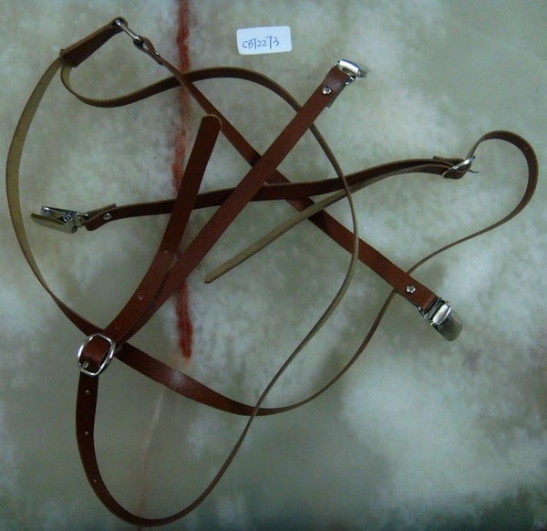 CBT2273