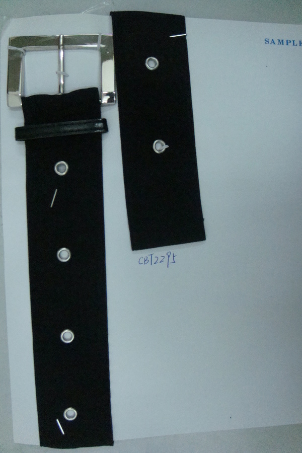 CBT2295