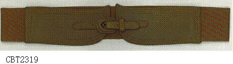 CBT2319