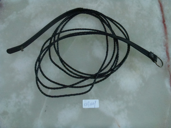 CBT2339