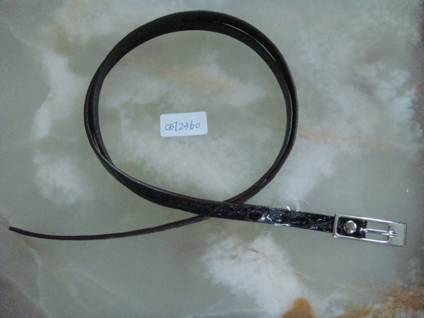 CBT2360