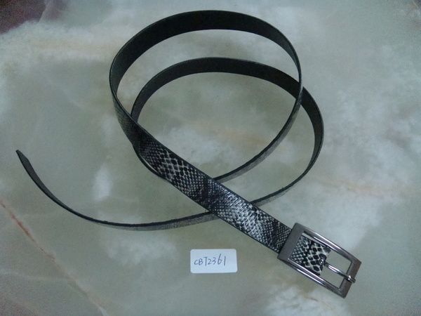 CBT2361