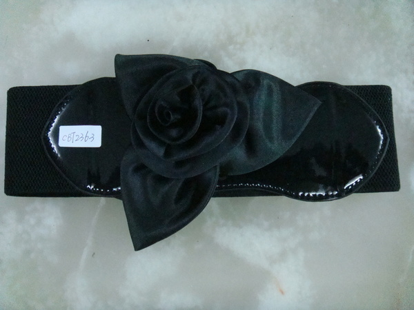 CBT2363