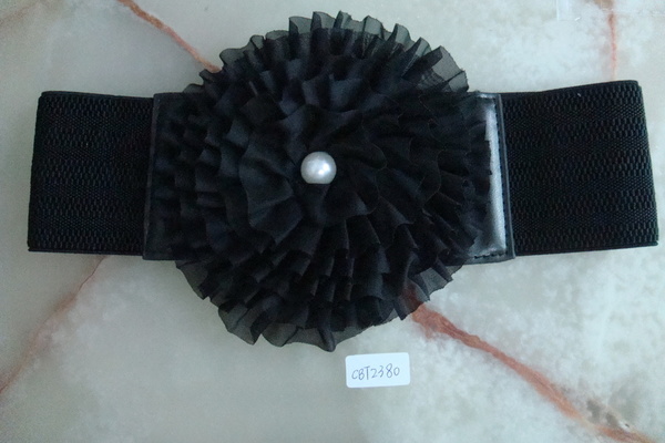 CBT2380