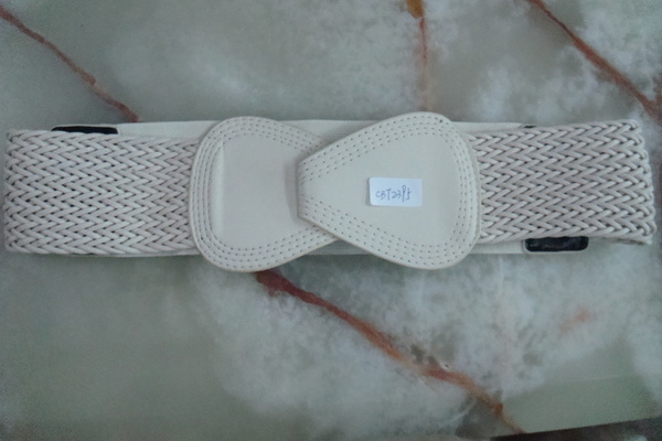 CBT2395