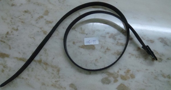 CBT2399