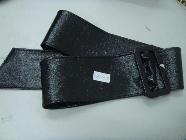CBT2410