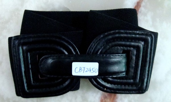 CBT2450