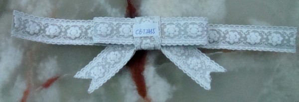 CBT2455