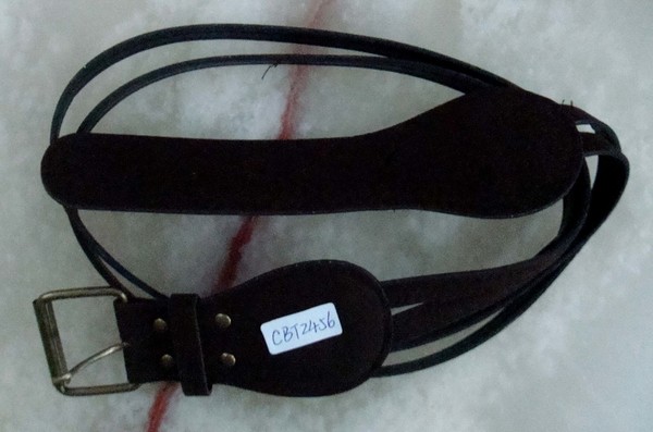 CBT2456