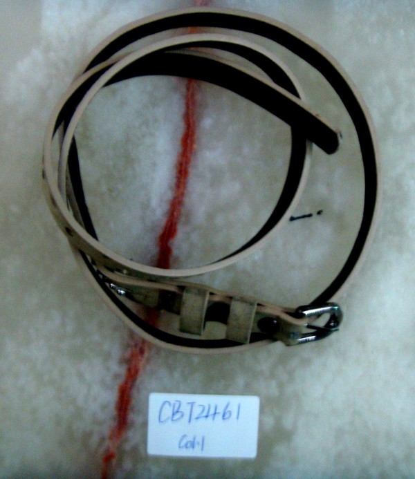 CBT2461col.1