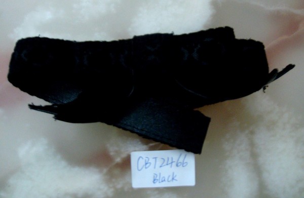 CBT2466.b