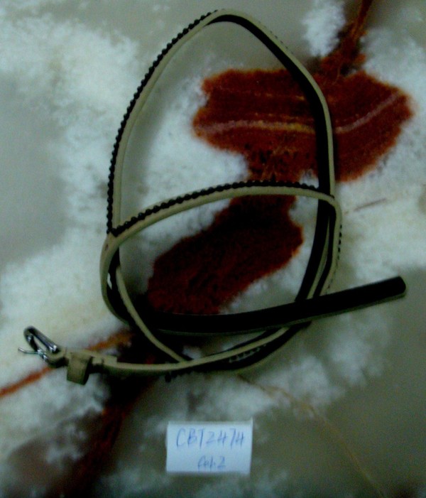 CBT2474col.2