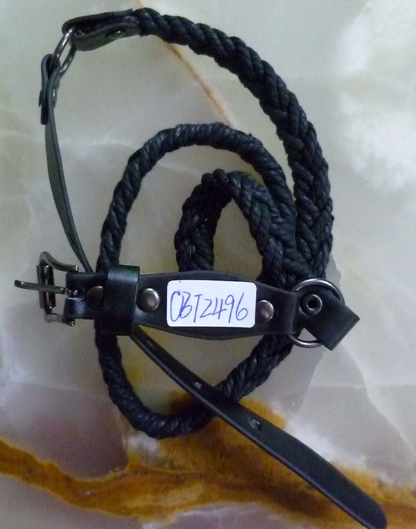 CBT2496