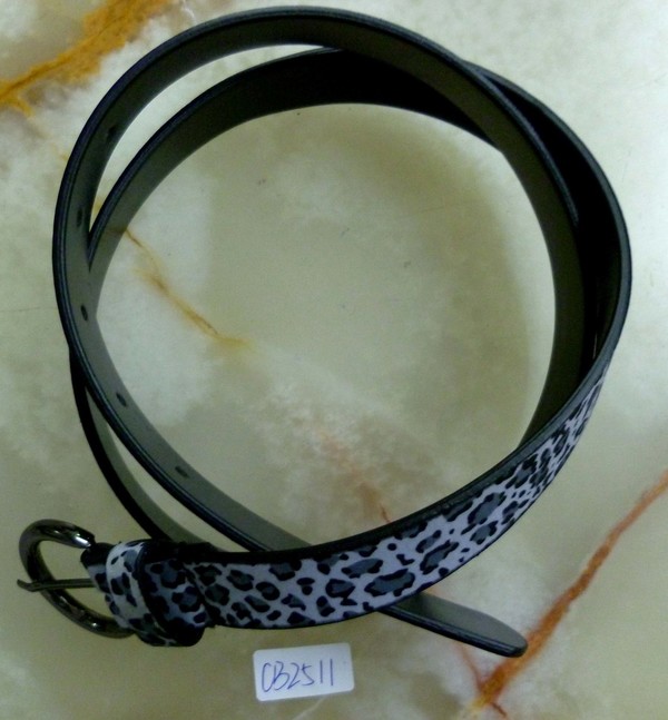 CBT2511
