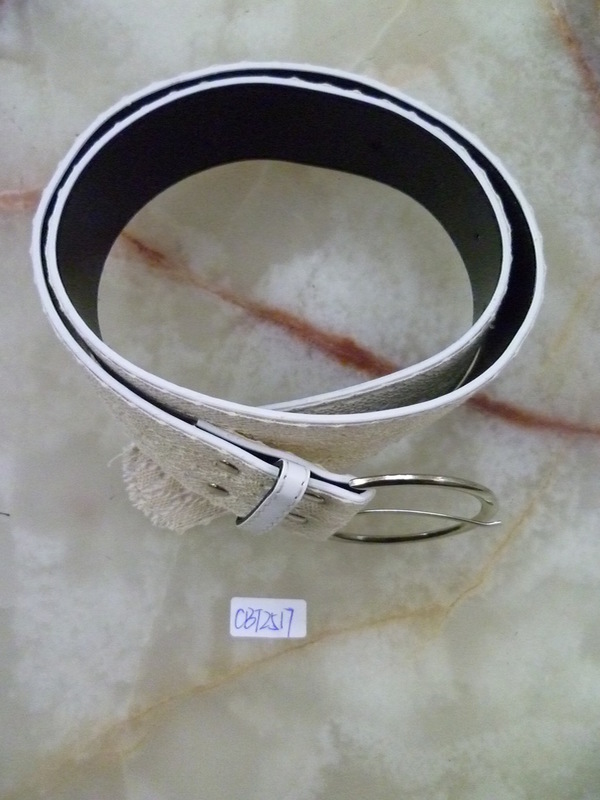 CBT2517