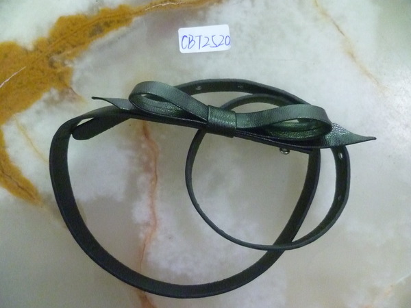 CBT2520