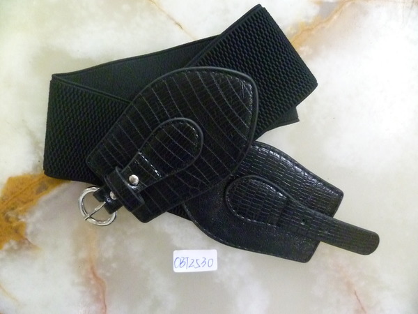 CBT2530