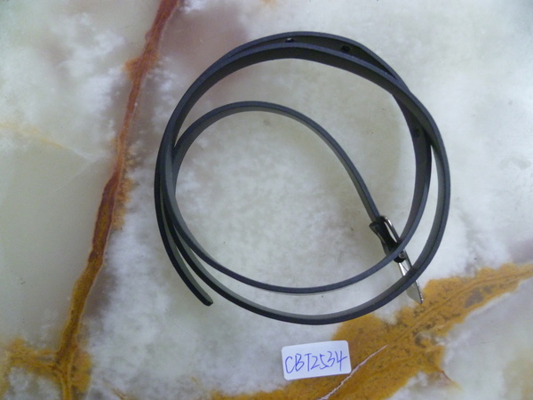 CBT2534