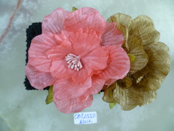 CBT2551.B