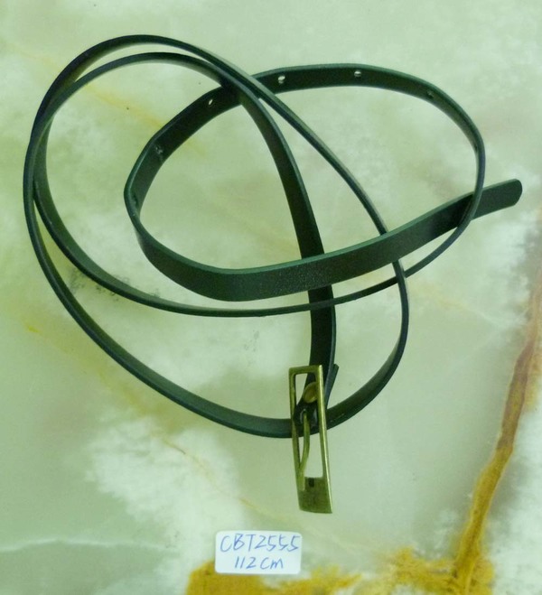 CBT2555
