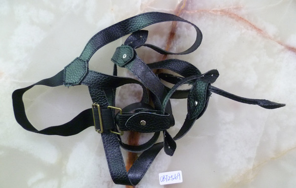 CBT2569