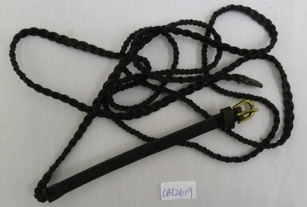 CBT2619