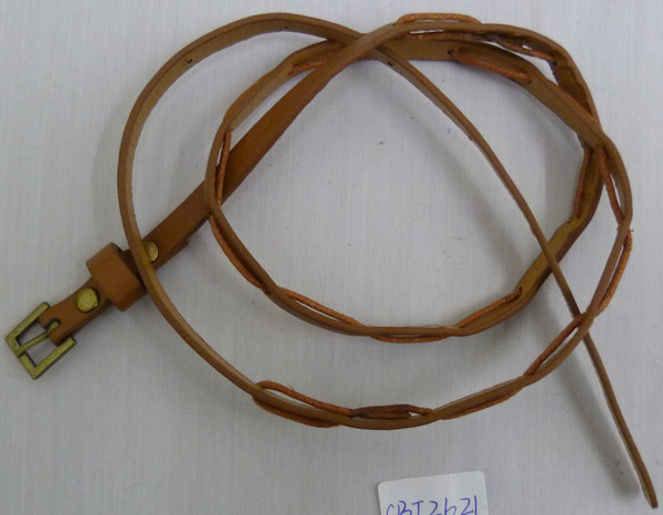 CBT2621