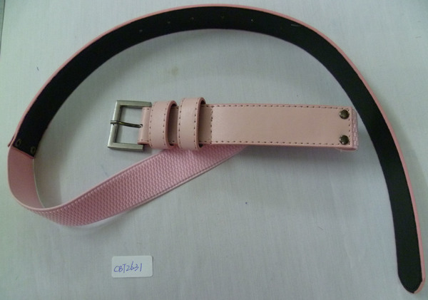 CBT2631